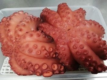 Pulpo - Imagen 1